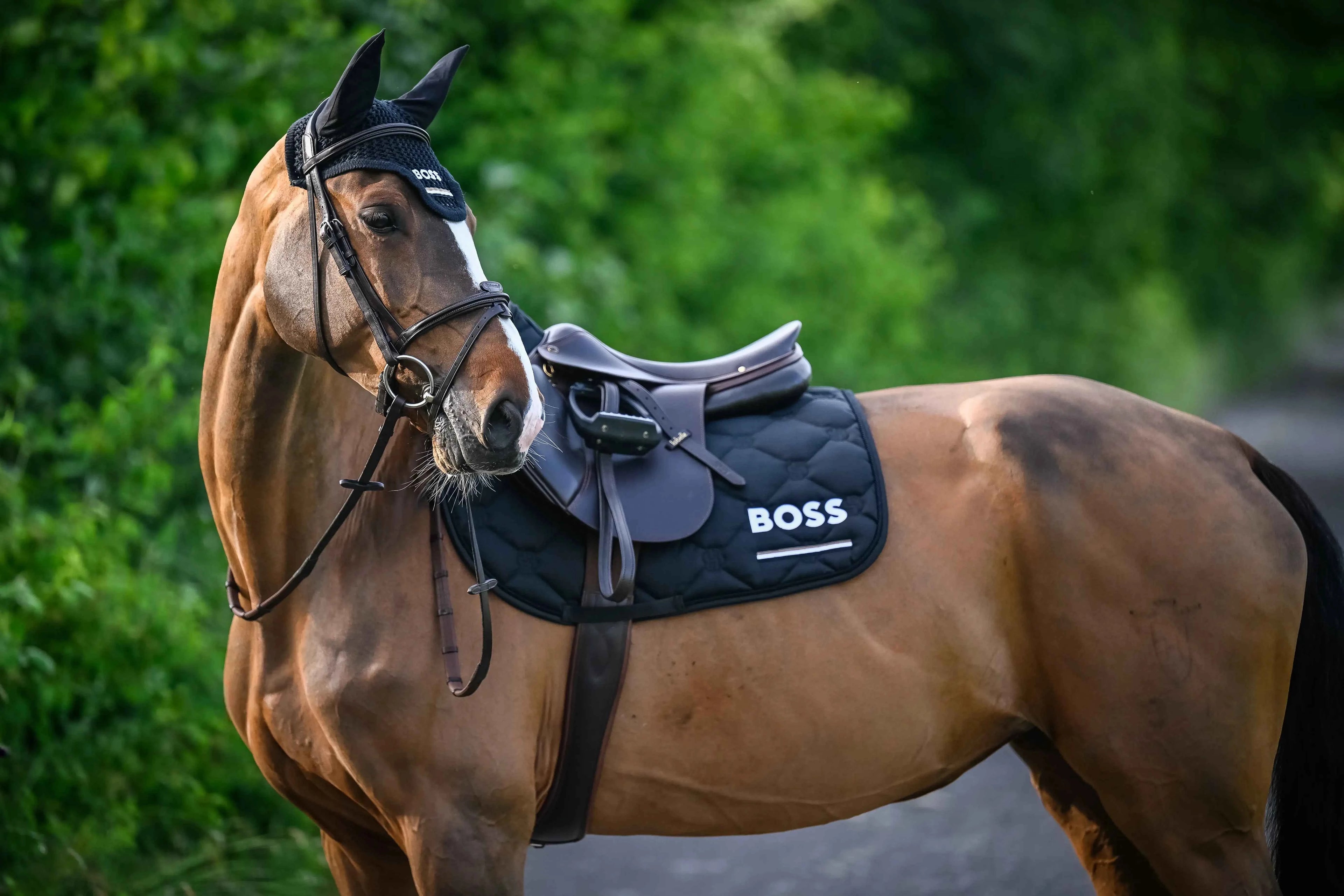 Cheltenham Saddle Pad Jump Tape