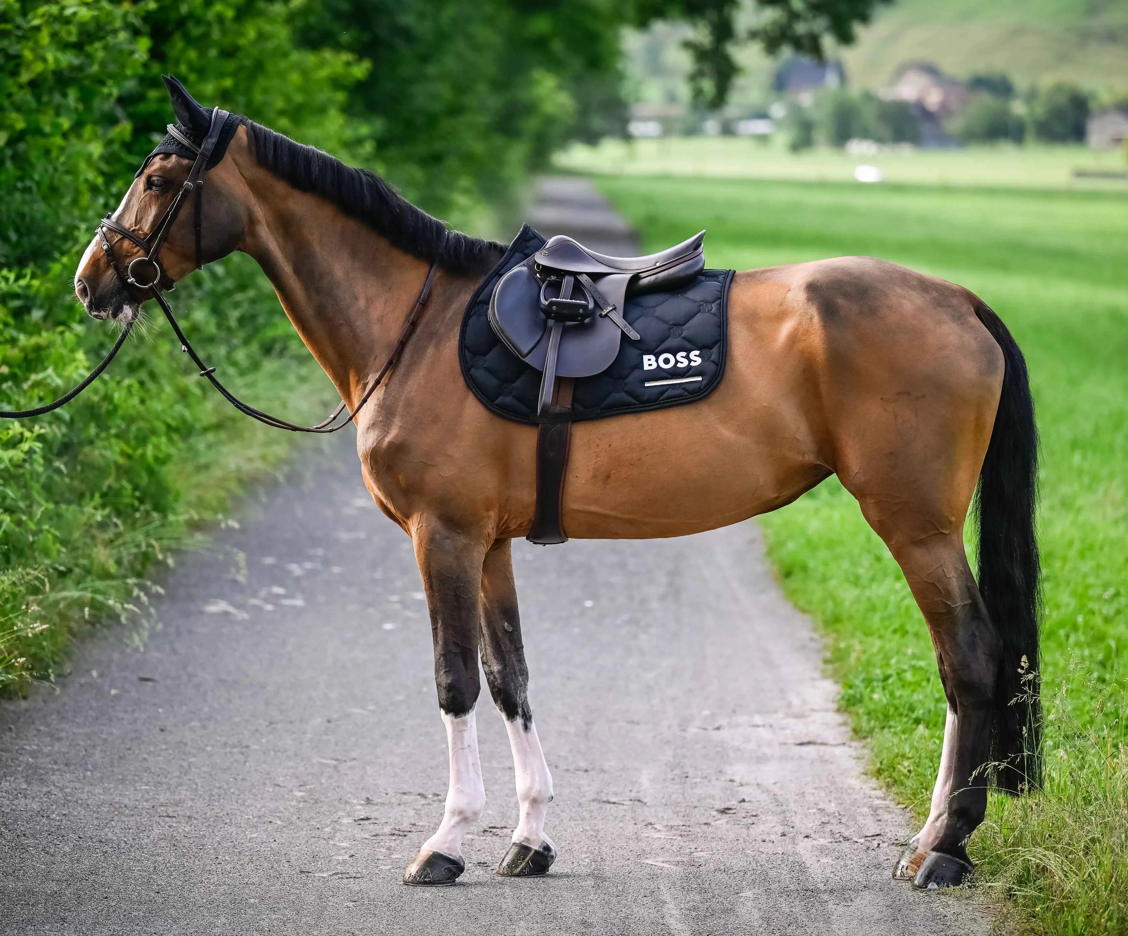 Cheltenham Saddle Pad Jump Tape