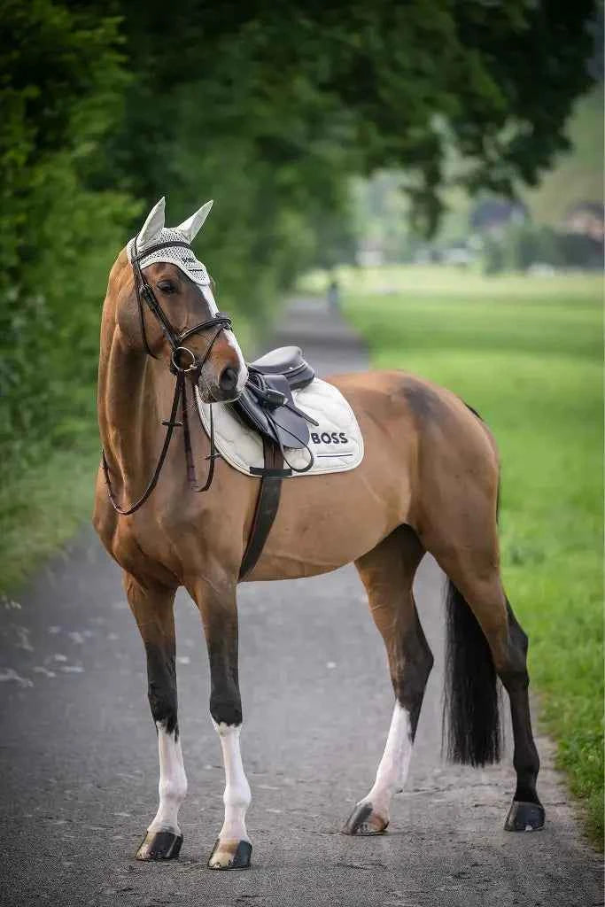 Cheltenham Saddle Pad Jump Tape