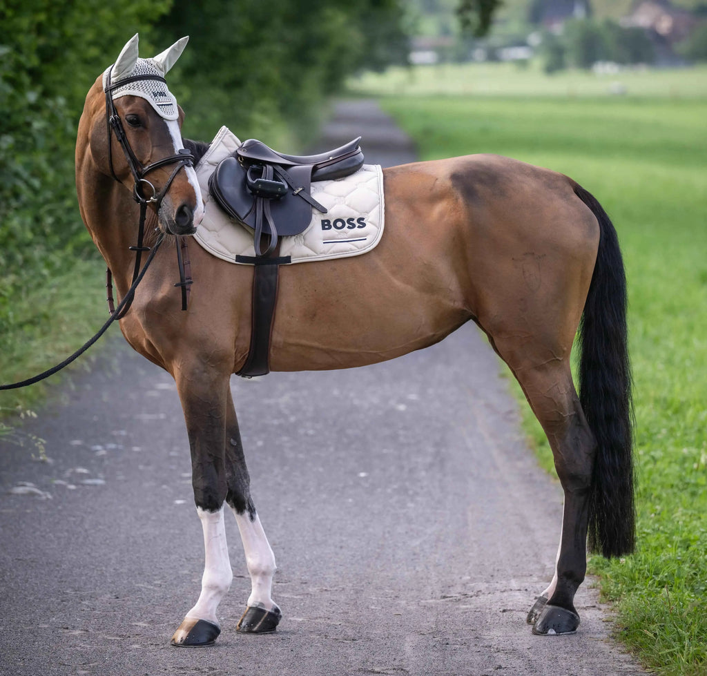 Cheltenham Saddle Pad Jump Tape