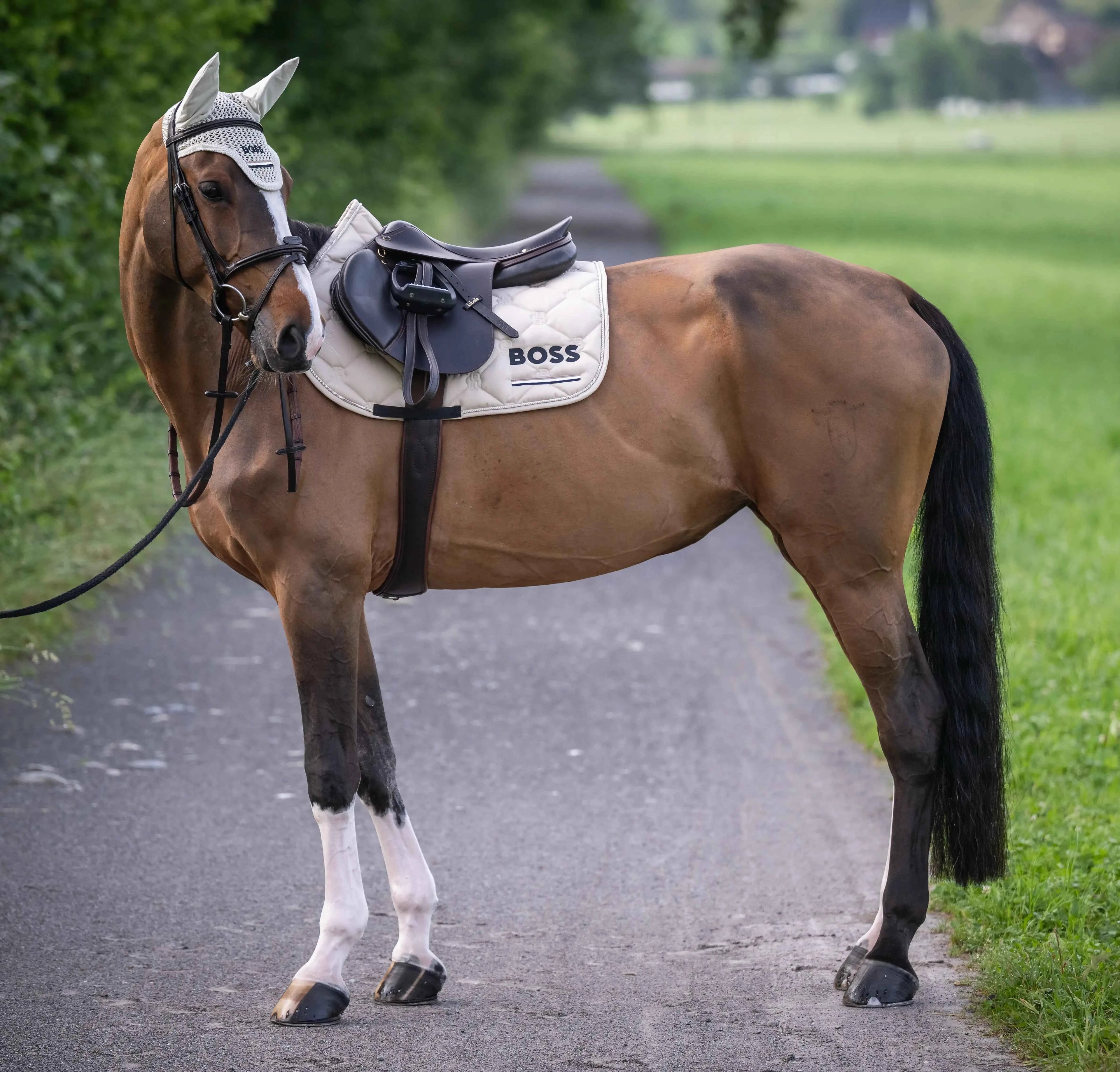 Cheltenham Saddle Pad Jump Tape